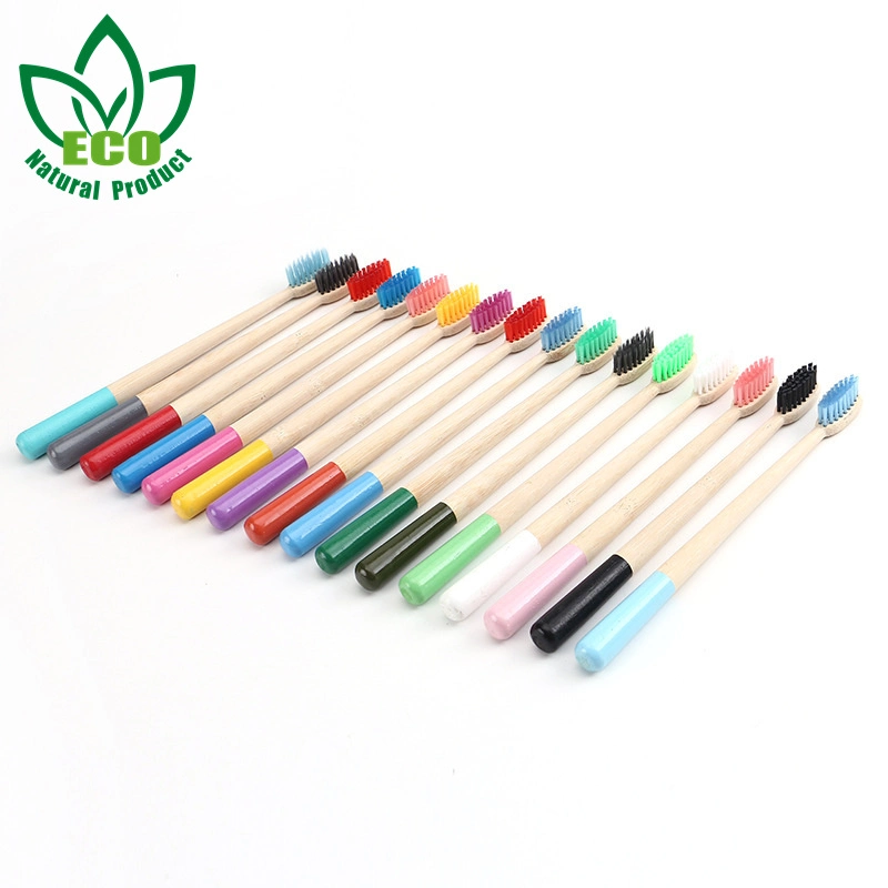 New 5-Pack Bristles Toothbrush Eco Friendly Oral Care Ecologico Biodegradable Toothbrush