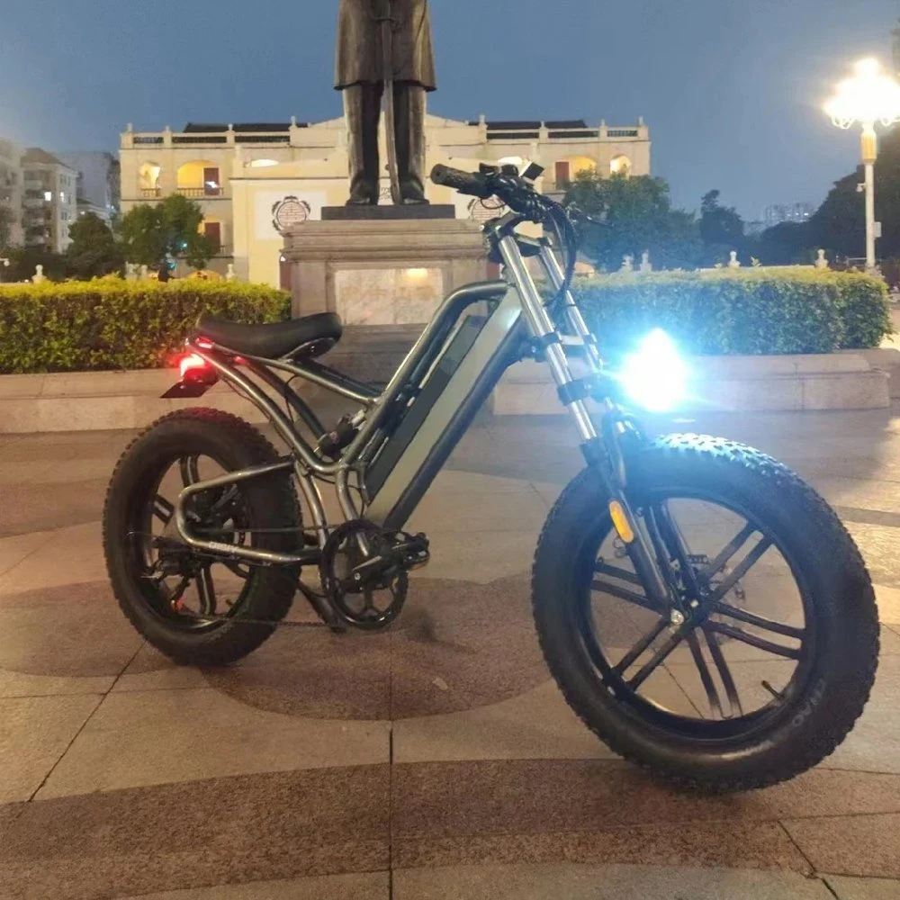 Économies d'énergie 500/700W vélo électrique scooter