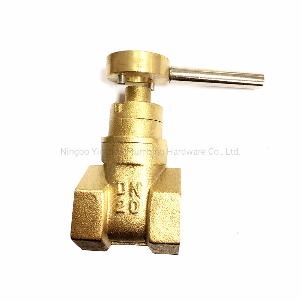 Brass Magnetic Lockable Gate Valve Manufacturer (HG25)