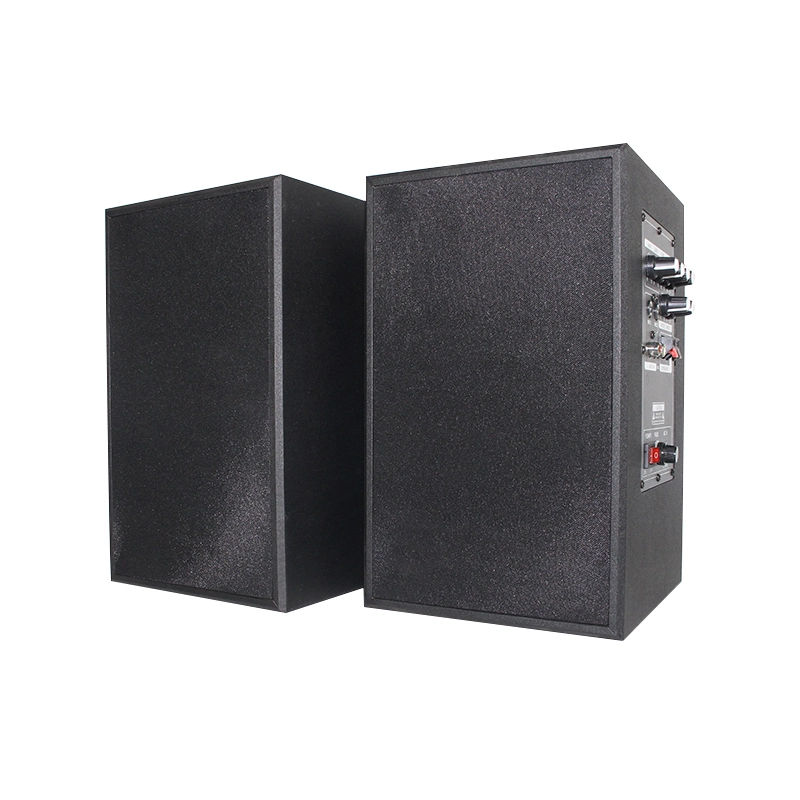 Sample Provided Dual Channel Speaker with 20Hz-20kHz Frequency Response