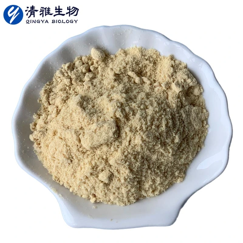 Freeze Dried Durian Powder Supplement Vitamin C Anti-Oxidation Natural Fruits Authentic