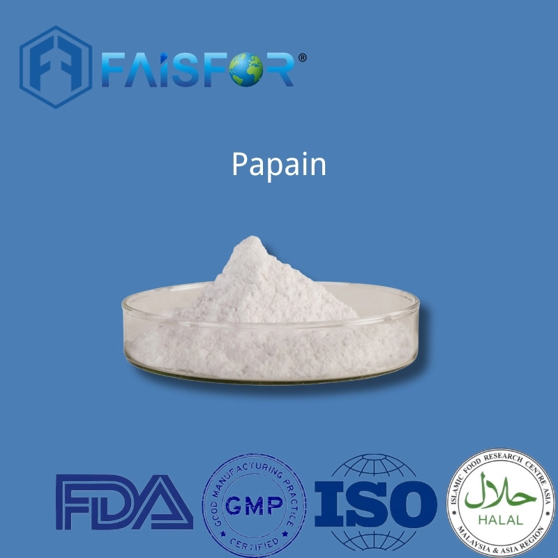 Food Grade Enzyme High Quality Papain with Best Price