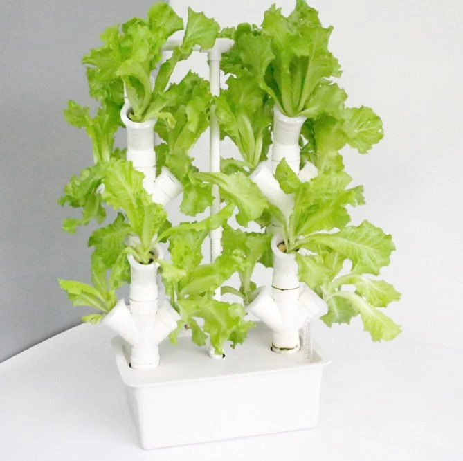 Indoor Vertical Automated Planters Hydroponics System