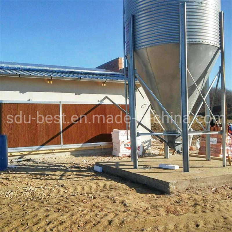 Automatic Poultry Farming Equipment Chicken Feeding System for Sale