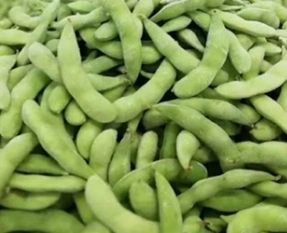 Delicious Cheap Frozen Green Soybean