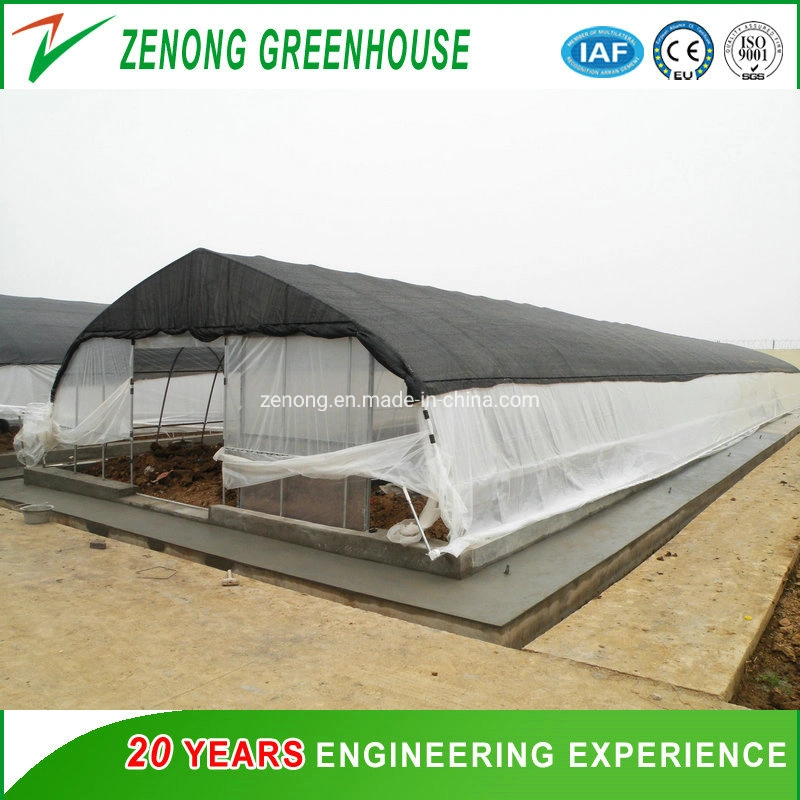 Low Cost Simple Hot DIP Galvanized Steel Plastic Film Arch Tunnel Greenhouse