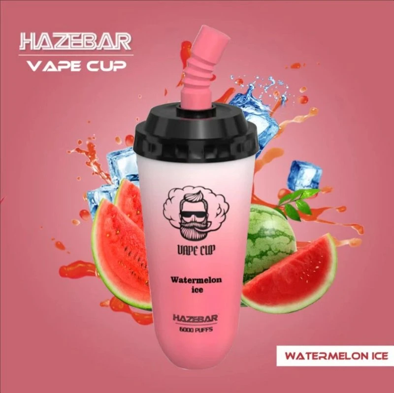 Haze Bar Mini Cup 6000 Puffs Zbood OEM/ODM Tornado LED Display Duo Switch I Get Legend Vapor Disposable/Chargeable Vape