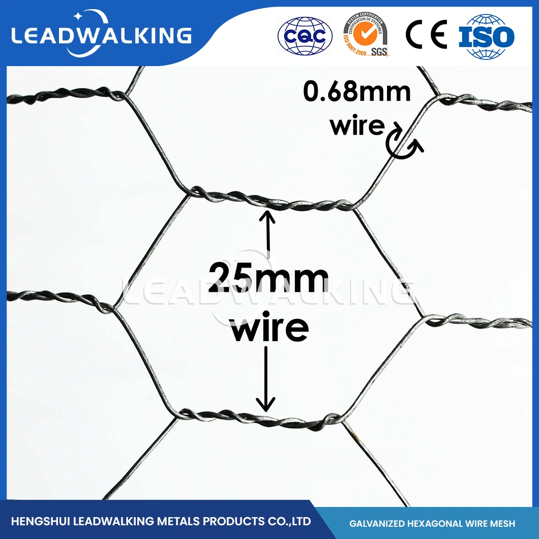 Leadwalking China Fox Proof Chicken Wire Mesh Factory Mild Steel Wire Material 5/8 Inch Mesh PVC Coated Hexagonal Hexagonal Mesh