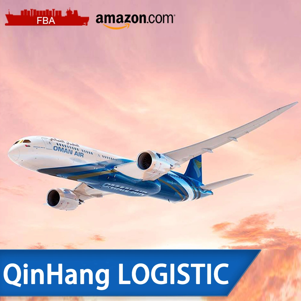 Shenzhen Food Freight Forwarder Air Freight Door to Door Service Air Cargo to Fba to Sweden