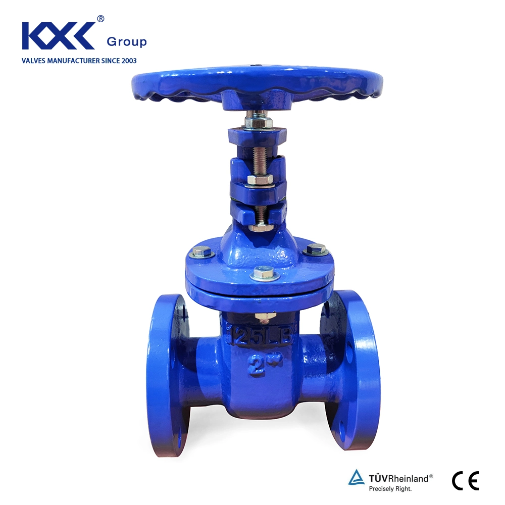 Awwa Flanged Wcb / Carbon Steel API Gate Valve with Hard Seat