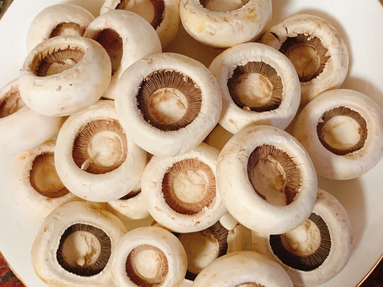 Mushroom Slice Pieces and Stems with High quality/High cost performance  with FDA Certification Canned Mushroom Fungus Food