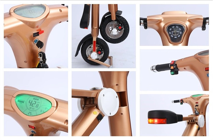 Intelligent LCD Display and Ce/FCC Certificates Foldable E-Bike