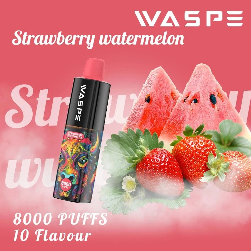 Factory Wholesale/Supplier 8000 Puffs 16ml 2% Nicotine Disposable/Chargeable Vape Pen