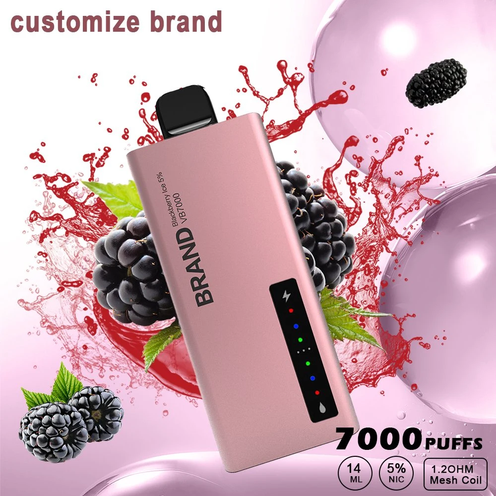 Custom 7000 puffs Torando Portable e-CIG Disposable/Chargeable Electronic Smoking Device Cigarro de vape