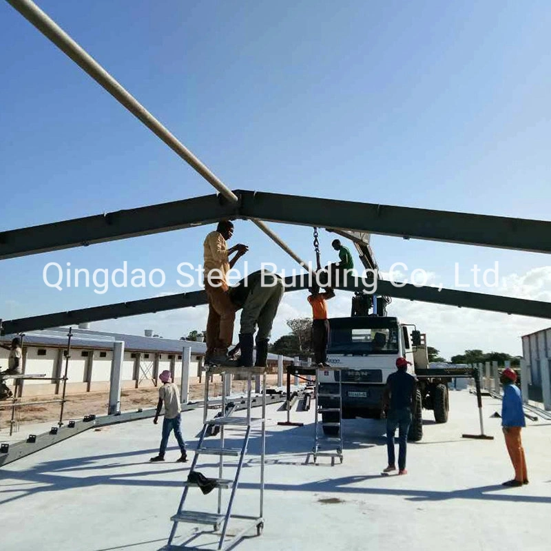 La estructura de acero galvanizado para la construcción de la casa de aves de corral prefabricados granja de pollos parrilleros materiales de construcción de la casa de diseño derramada