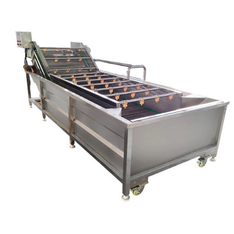 Small Seaweed Oranges Fruits and Vegetable Washing and Drying Machine