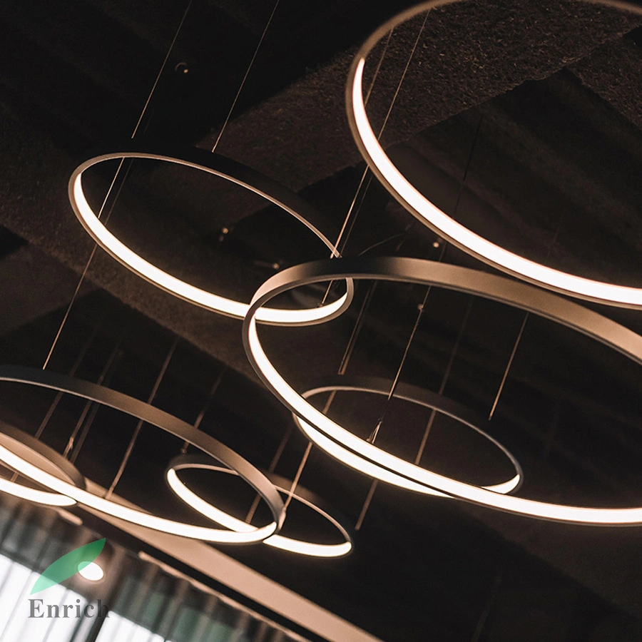 60cm 80cm 100cm 120cm Inner Lighting Circle LED Pendant Light for Office Room