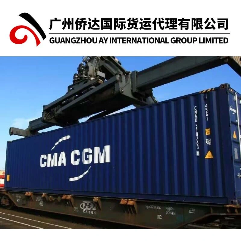 Une seule escale FCL/LCL Shipping Company avec des taux bon marché de Guangzhou Shenzhen Shanghai Ningbo Qingdao Chine à Lagos/Tema/Cotonou/Lome/Alger par mer