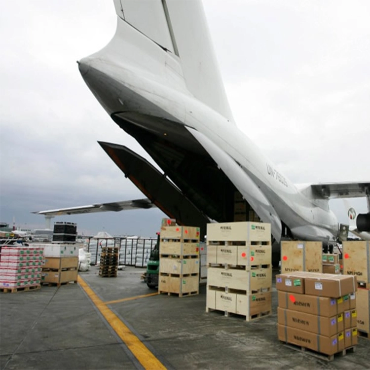 Les compagnies de navigation de Shenzhen Air Freight Fowarder fournissant Fast Air avec un rabais tarifs de transport maritime à Dubaï