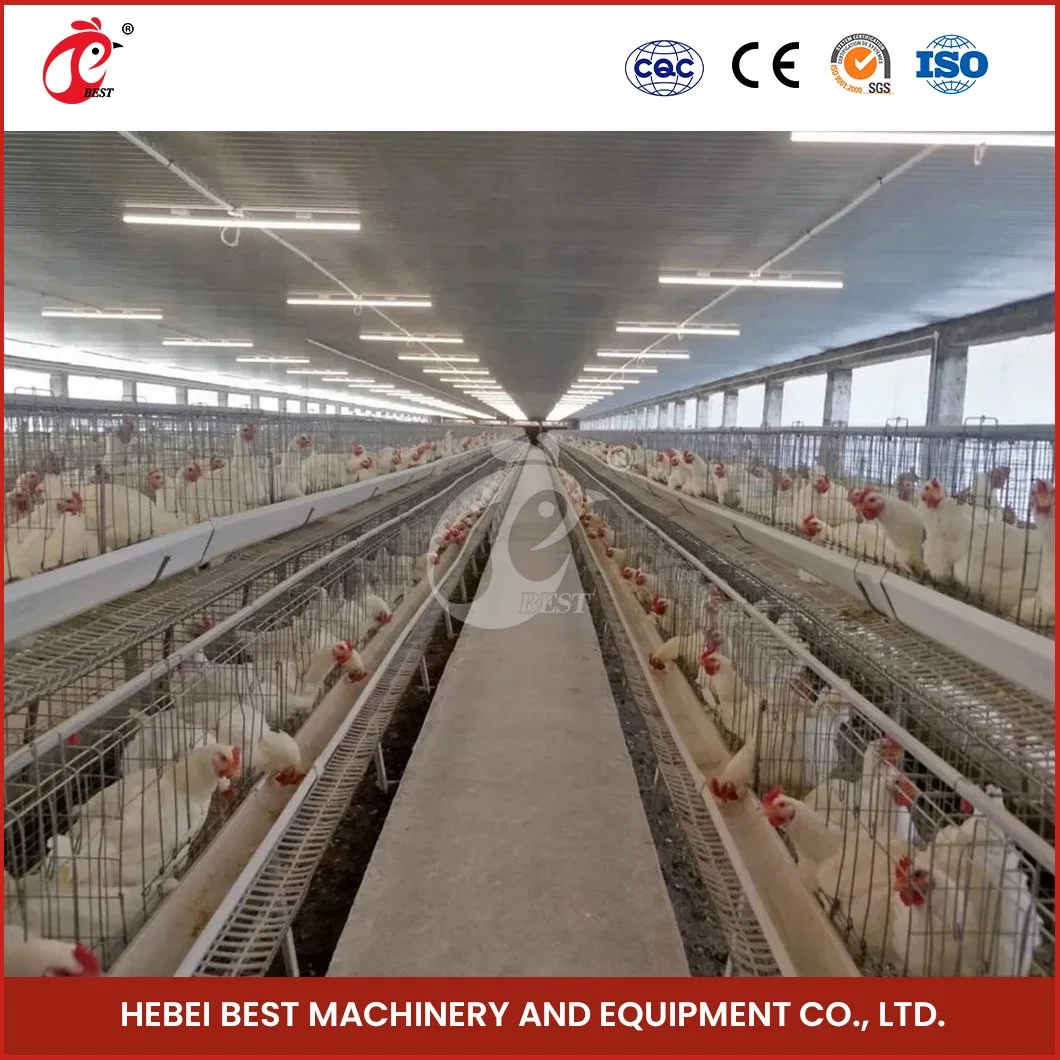 Bestchickencage China a Frame Chicken Layer Coop Factory OEM Custom Poultry Layer Chicken Cage for Poultry Farming Configuration Chicken Coop Floor