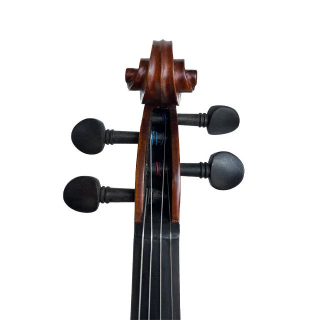 Top Professional Ahorn Ebenholz Massivholz Preis Professional Violine für Verkauf