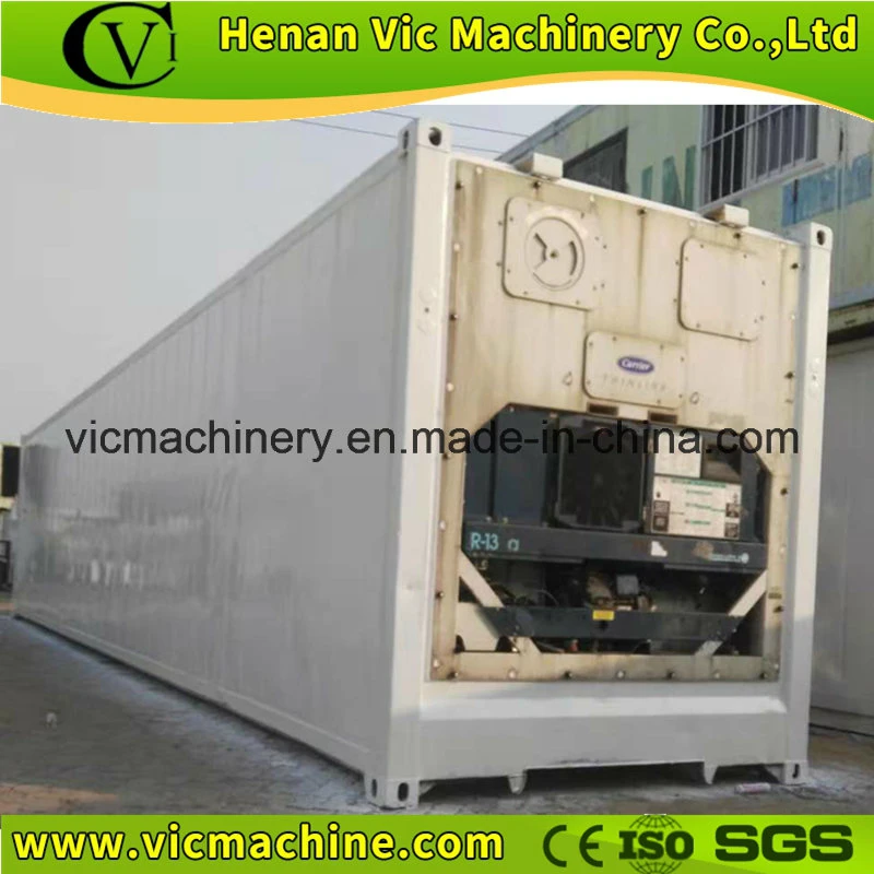 Multiple Function Seafood Used Reefer Container