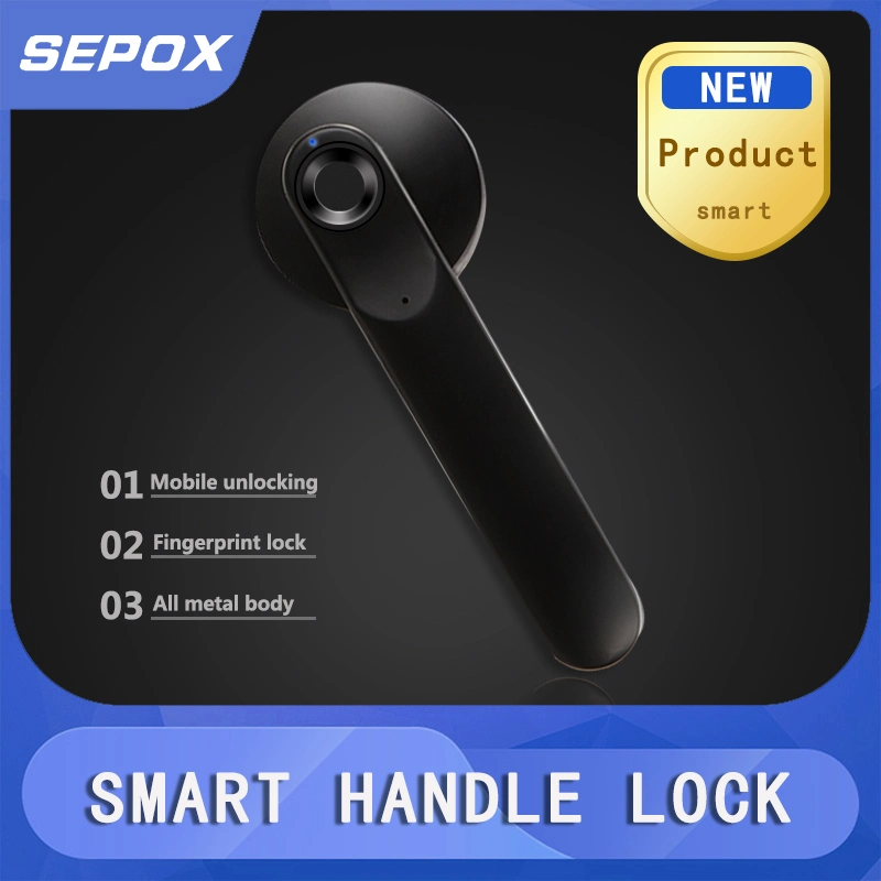 Smart Fingerprint Door Handle Electronic Drive Lock Easy Installation Door Lock (YDDL-0050)