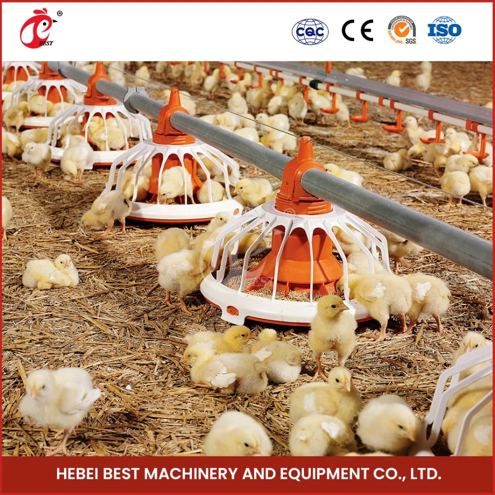 Bestchickencage Broiler Deep Litter System OEM Customized China Wasserversorgung Ist ausreichend und Gleichheit Broiler Heizung tiefen Litter System Factory