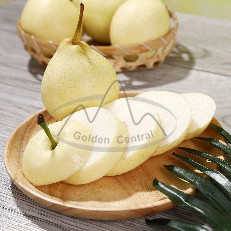 Factory Wholesale/Supplier Sweet Juicy Fresh Yellow Ya Pears Gold Pears