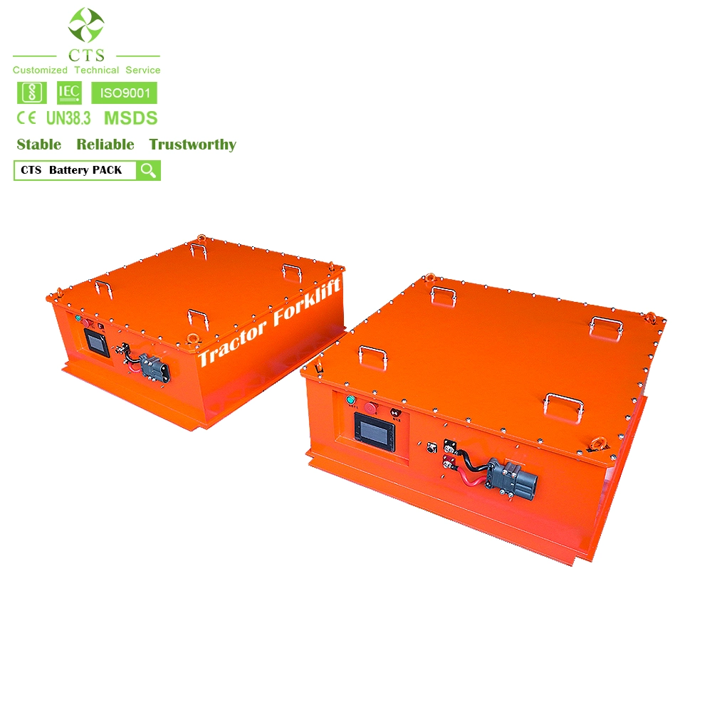 Cts OEM Deep Cycle 48V 302ah LiFePO4 Battery 15kwh for Low-Speed Car Electric Tramcar