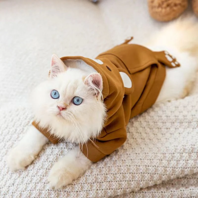 Engraçado hoodie Kitten roupas queda Cat Hair Prevention Cat queda Cat Cat Cat O vestuário para animais Cat Cat Cat Blue Cat Ragdoll cai