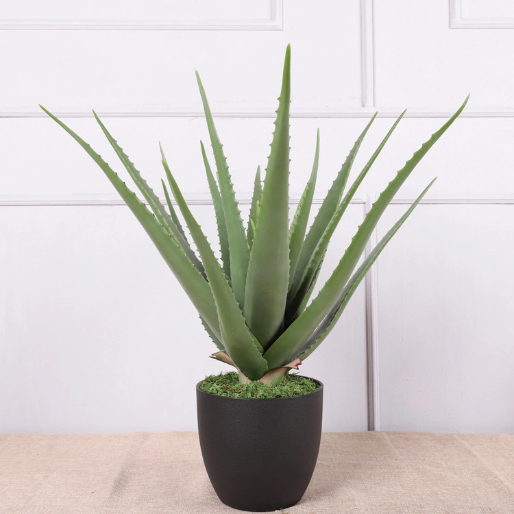 Plant Plastic Aloe with Pot for Family Decoration Greenery Aloe Bonsai