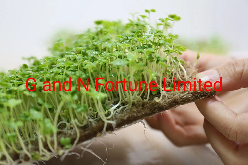 100% Natural Jute Fiber Needle Punched Micro Green Growing Mat 1000 Gram Per Square Meter