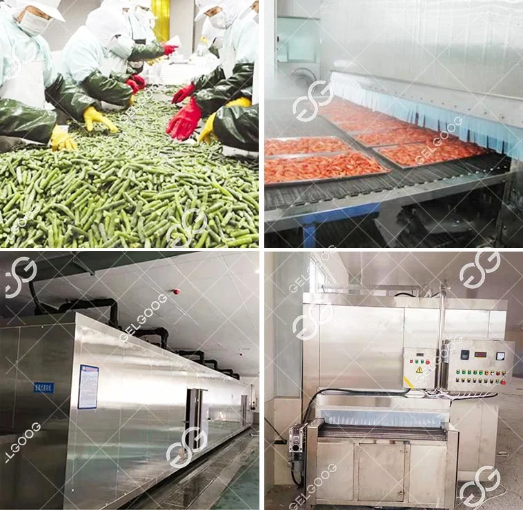 Frozen French Fries Making Production Line French Fries Plant Cost