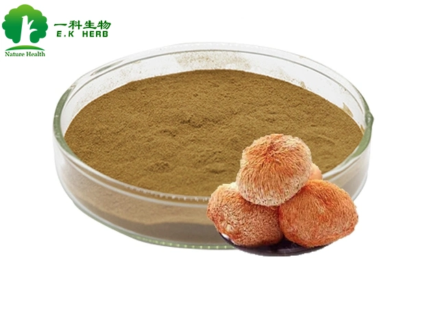 E. K Herb Extract plante polysaccharide de qualité alimentaire Hericium erinaceus extrait de la mushroom du lion′ S. Mane