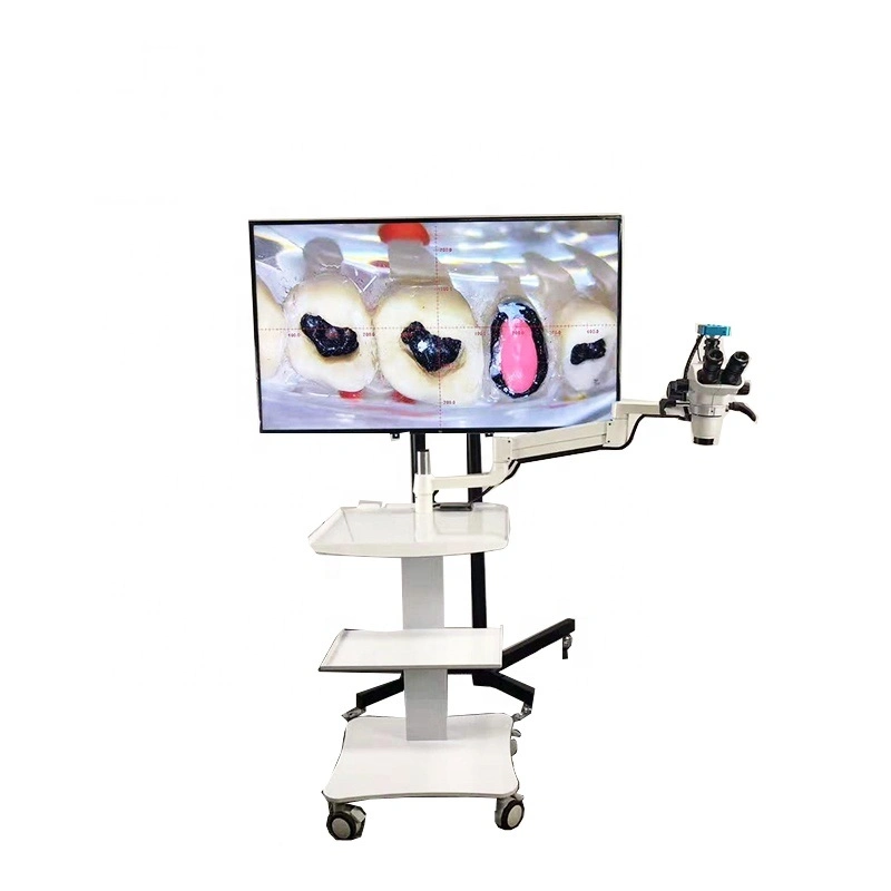 0-180degré LED binoculaire de chirurgie dentaire Microscope ent l'opération