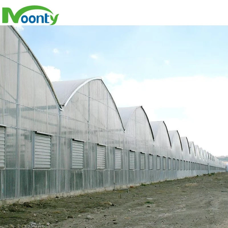 Factory Supplied Multi Spans Greenhouse with 8mm PC Hollow Transparent Sheet