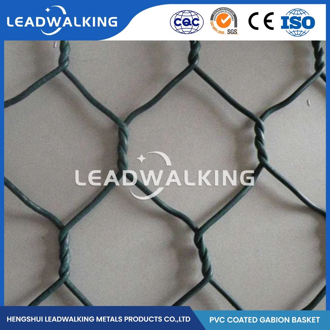 Leadwalking 2.0*1.5*1.0 Size Double Twist Hexagonal Wire Mesh Gabion Rust Prevention Galvanized Hexagonal Gabion Box China PVC Coated Gabion Mesh Box