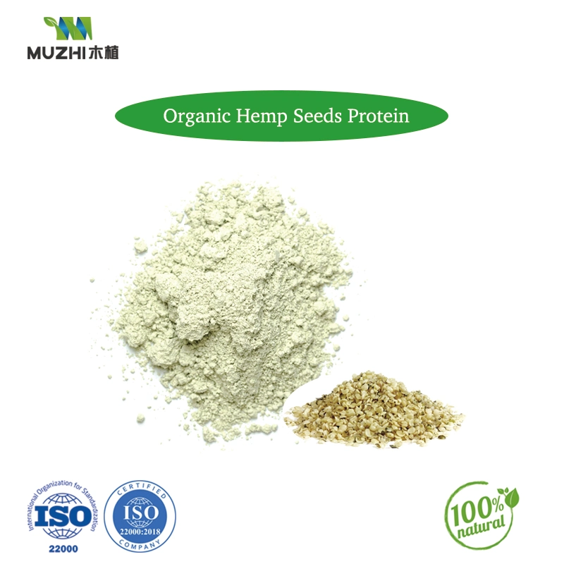 Matcha Powder Natural Herbal Plant Extract