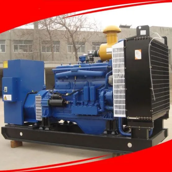 600kVA/660kw Gas Generator Pig Farm Manure Landfill Gas Biogas Farm Backup Power Generator