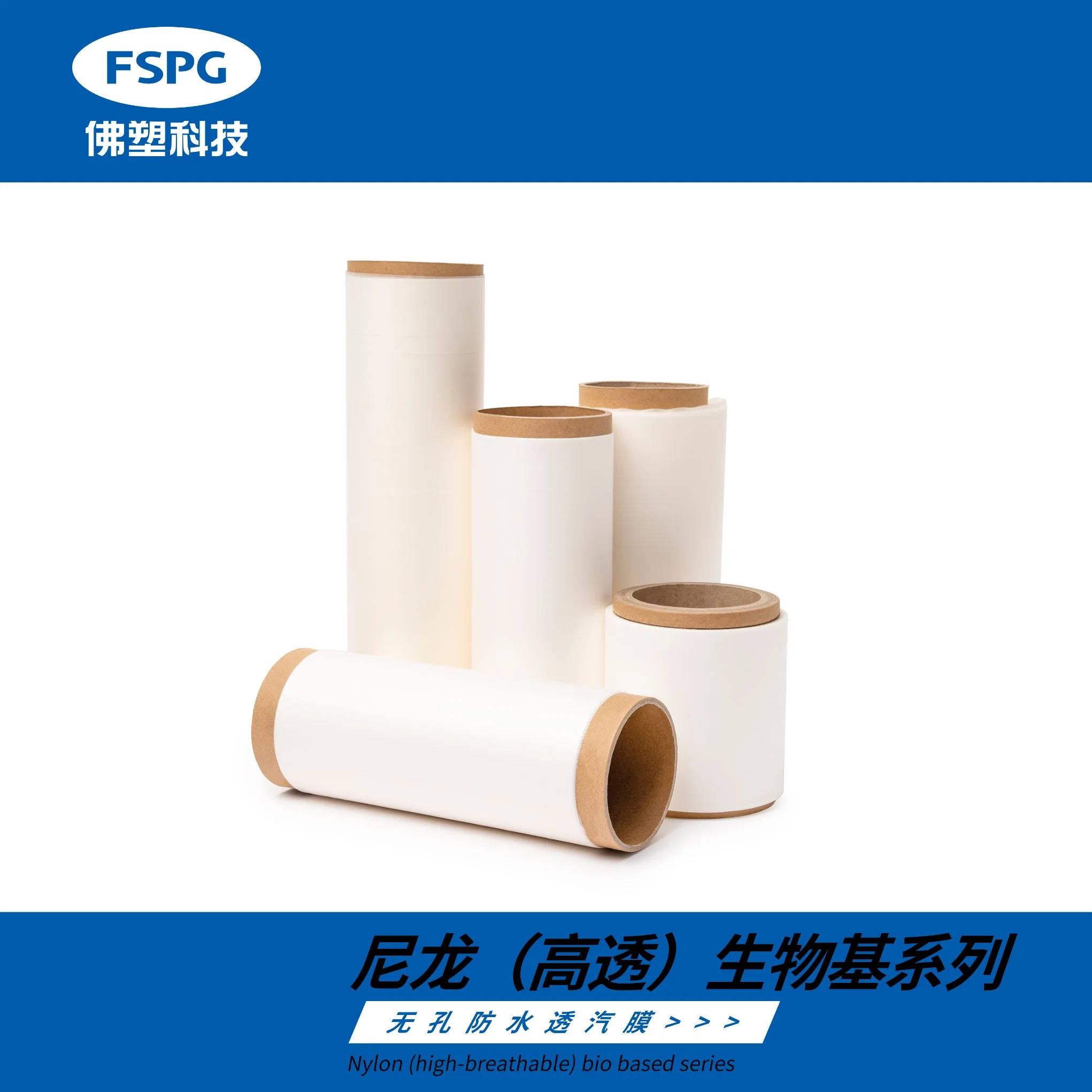 Polyester Film (High/Medium/Low transmittance)