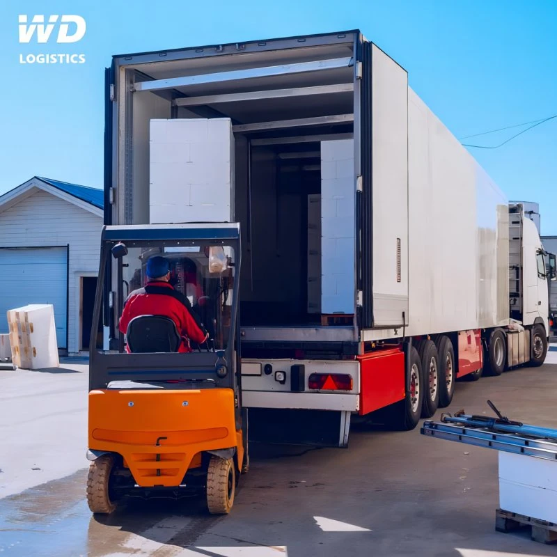 DDP Sea Freight with China Shipping Agent for Container Shipping and Shenzhen Warehouse Service to Southeast Asia USA UAE UK Worldwide with Custom Clearance