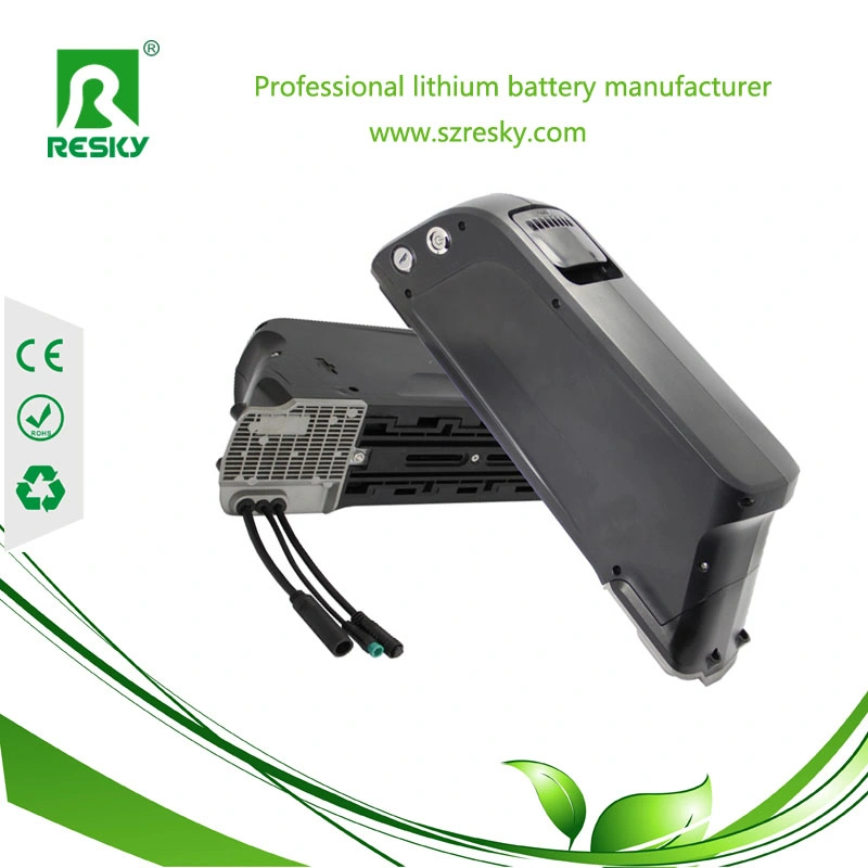 48V 10ah Battery Pack with USB for Fat Ebike