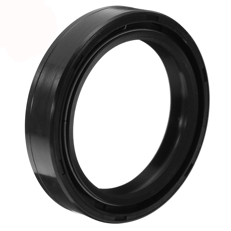 Motorcycle Electric Vehicle Engine Spare Parts DC Rubber NBR FKM Silicone EPDM Oil Seal Skeleton Framework Oil Seal Manufacturer Sealing Ring O Ring Seal