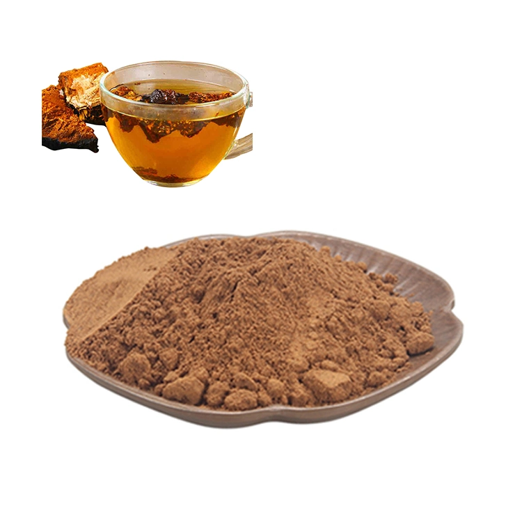 شاغا العضوي Mushroom Extract Reishi Cordyceps Militaris Lion's Mane Mushroom استخلاص خلط الماء Soluble