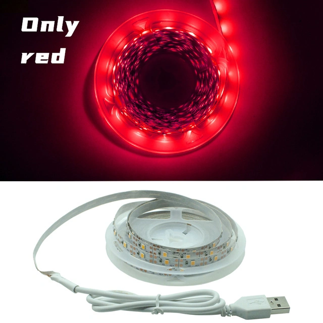 LED-Lichtstreifen USB Infrarot-Steuerung RGB SMD2835 DC5V 1m 2m 3m 4m 5m Flexible Lamp Tape Diode TV Hintergrund Beleuchtung Luces LED