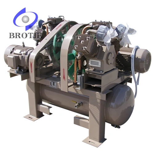 Brotie Oil-Free Oilless Air Compressor