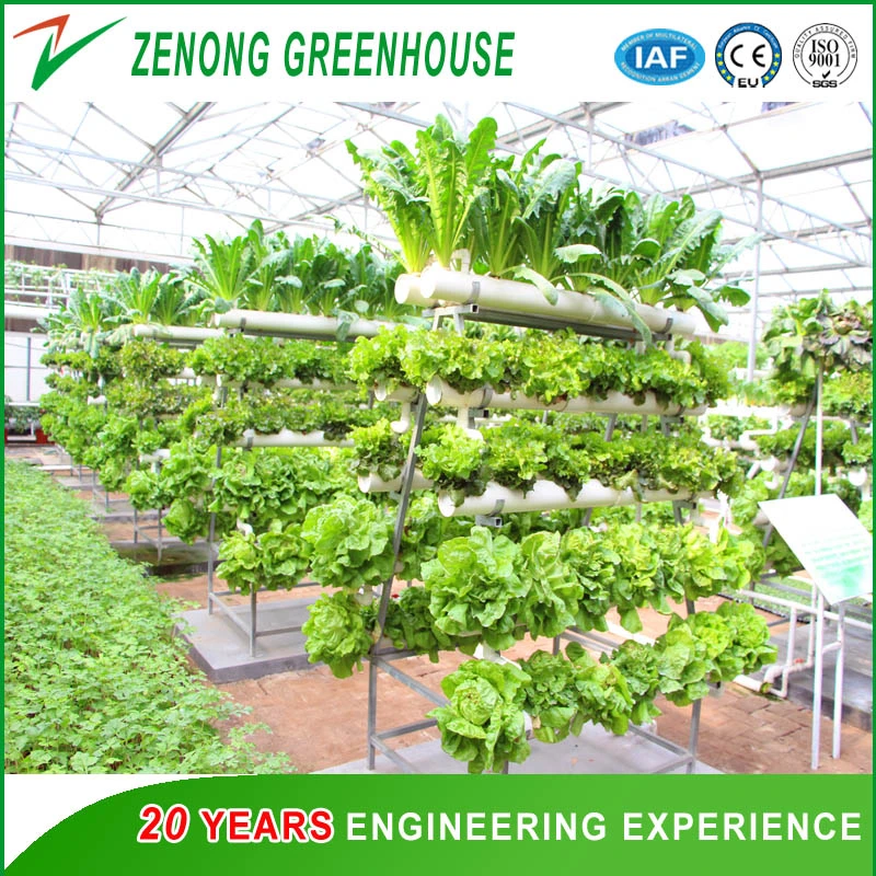 Soilless Culture Commercial Nft Hydroponics System Kinds of Soilless Culture Equipment