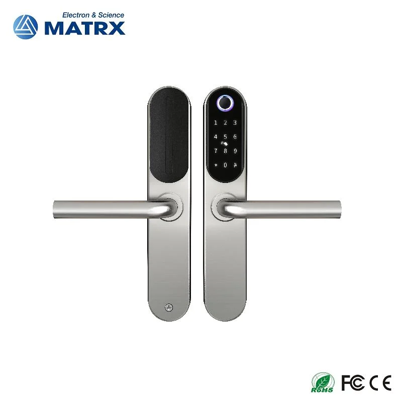 2023 304 Stainless Steel Smart Door Lock with Tuya APP