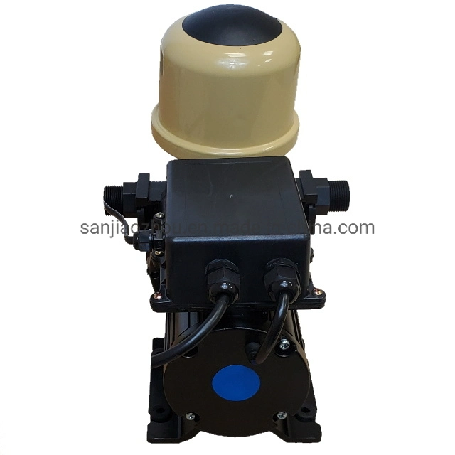 Dispensing Water Pump Open Flow 20L/Min Built-in Pressure Switch 0.45MPa (65psi) off -Basic Customization